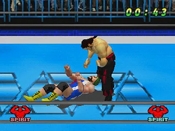 Virtual Pro Wrestling (JP) screen shot game playing